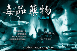 毒品的真相